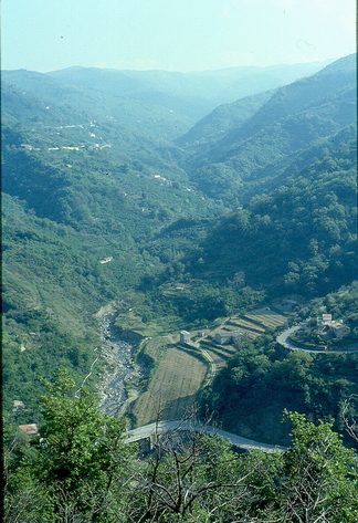 Alta valle del Timeto: panorama 37