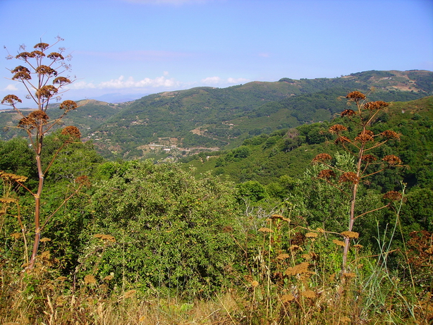 Alta valle del Timeto: panorama 7