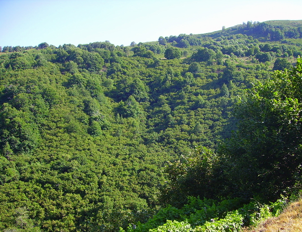 Alta valle del Timeto: panorama 8