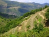 Alta valle del Timeto: panorama 20