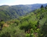 Alta valle del Timeto: panorama 5