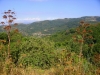 Alta valle del Timeto: panorama 7