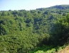 Alta valle del Timeto: panorama 8