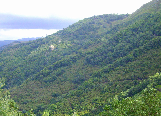 Panorama 1