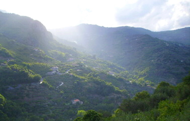 Panorama 3