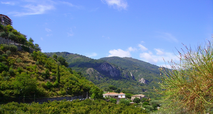 Panorama 4