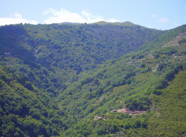 Panorama 5