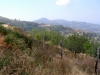 Panorama 2