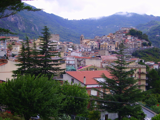 Panorama 6