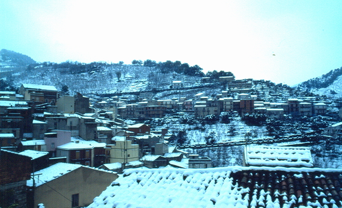 Panorama innevato 11