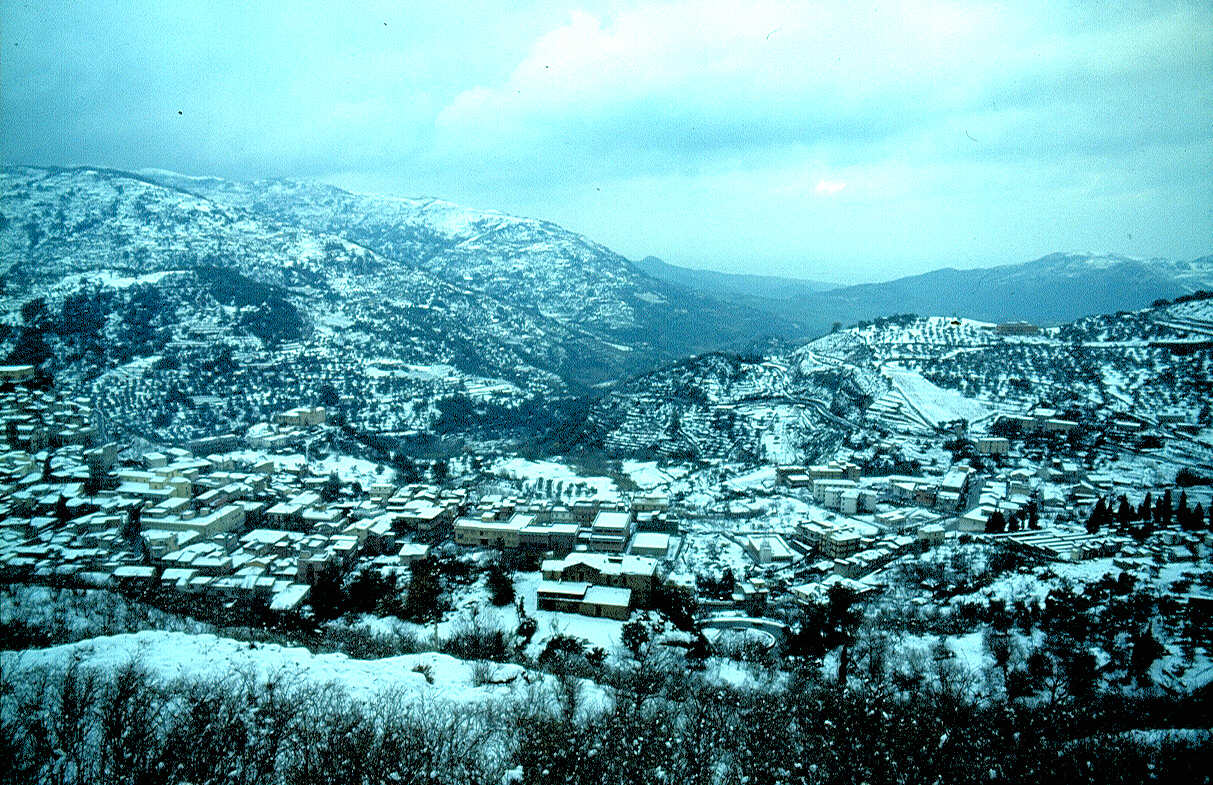 Panorama innevato 2