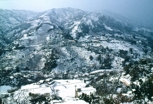 Panorama innevato 8