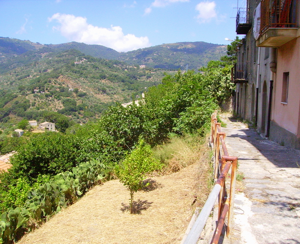 Scorcio 6