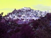 Grafica scorcio 3