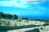 Insulae